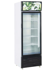 Upright Beverage Display